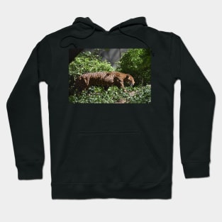 Jaguar Hoodie